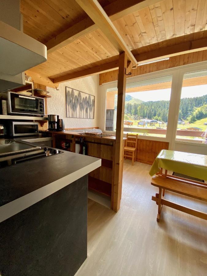 Super Lioran - Appartement Entierement Equipe Laveissiere Luaran gambar